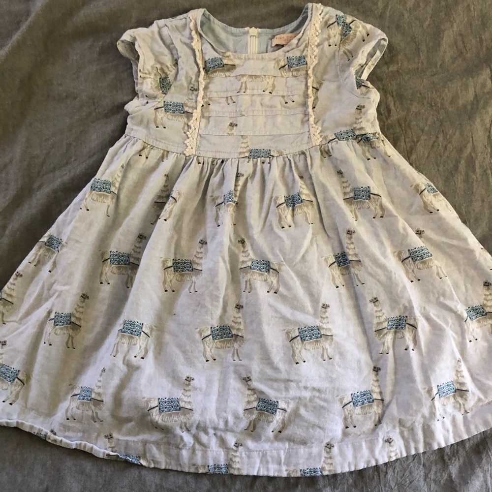 Pink Chicken dress